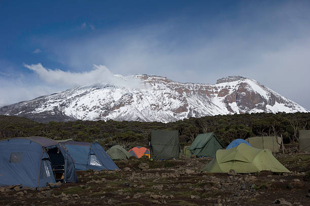 Authentic 2 Day Kilimanjaro Trek from Moshi