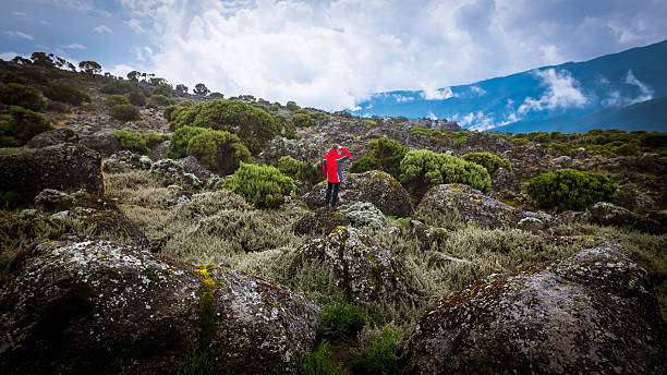 Beginner-Friendly 1 Day Kilimanjaro Hike from Moshi