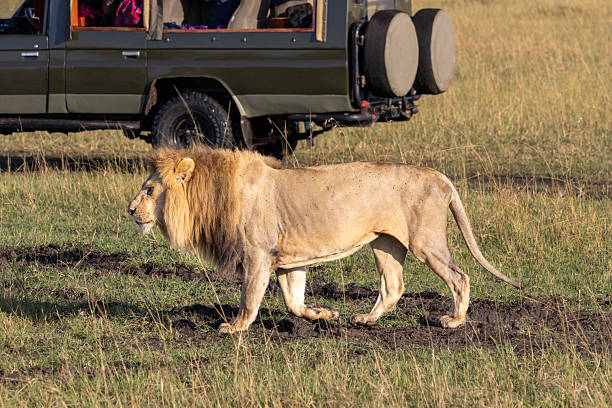 Best 6 Days Safari Package from Moshi