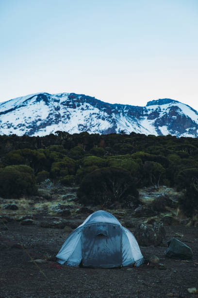 4 Day Kilimanjaro Mountain Hiking Experience