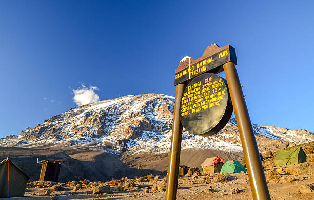 incredible 1 day kilimanjaro trek from moshi