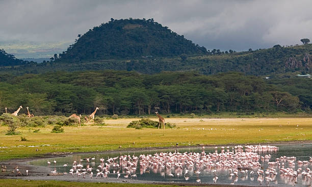lake manyara day trip from moshi