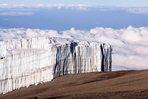 local 2 day kilimanjaro trekking tour