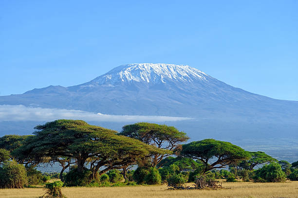 Expert-Led 2 Day Kilimanjaro Hiking Experience