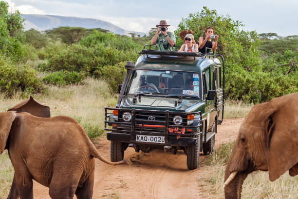 moshi safari tours and packages