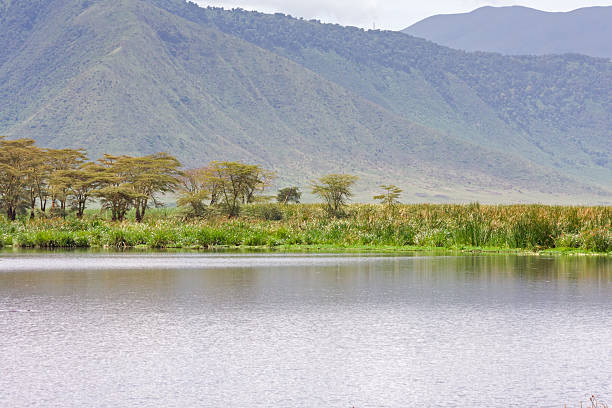 moshi to ngorongoro crater safari
