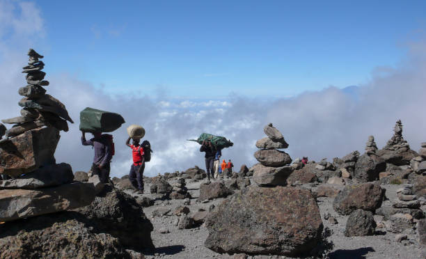 mount kilimanjaro trek and big five safari