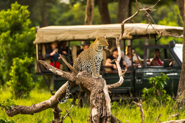'Private 1 Day Safari from Moshi 2026-2027