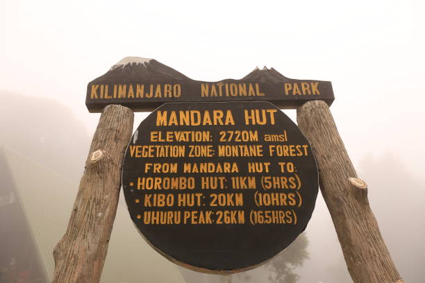 Guided 2 Day Kilimanjaro Adventure