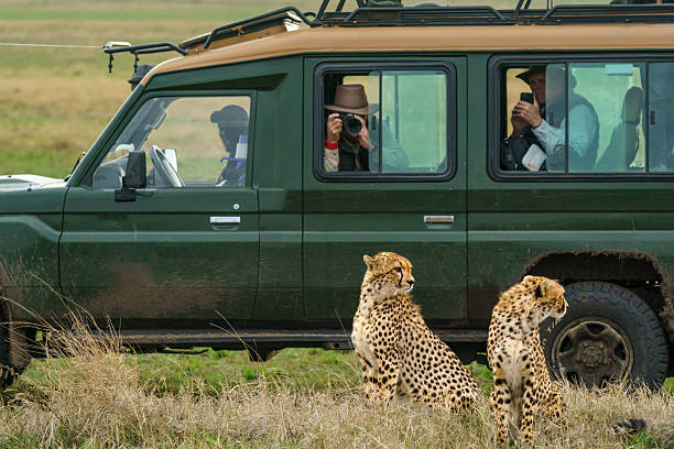 Safari Booking from Moshi