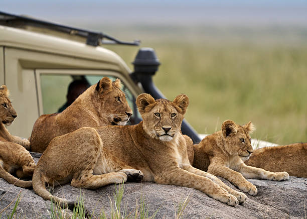 Moshi to Central Serengeti Safari