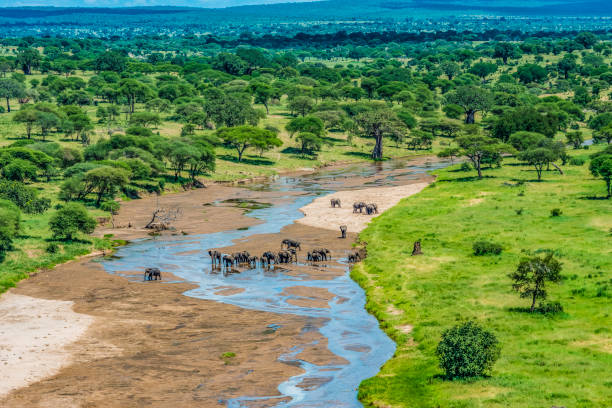 tarangire and lake manyara safari from moshi