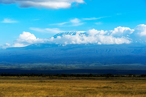 Local 1 Day Kilimanjaro Hiking Experience