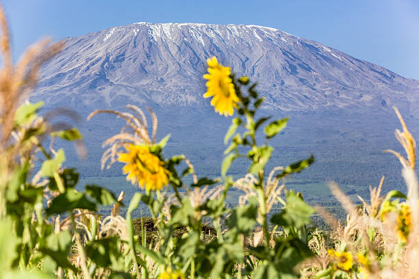 Incredible 1 Day Kilimanjaro Trek from Moshi