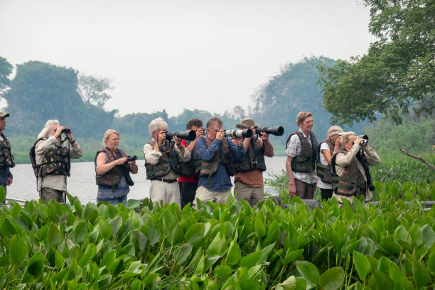 wildlife tours starting from moshi