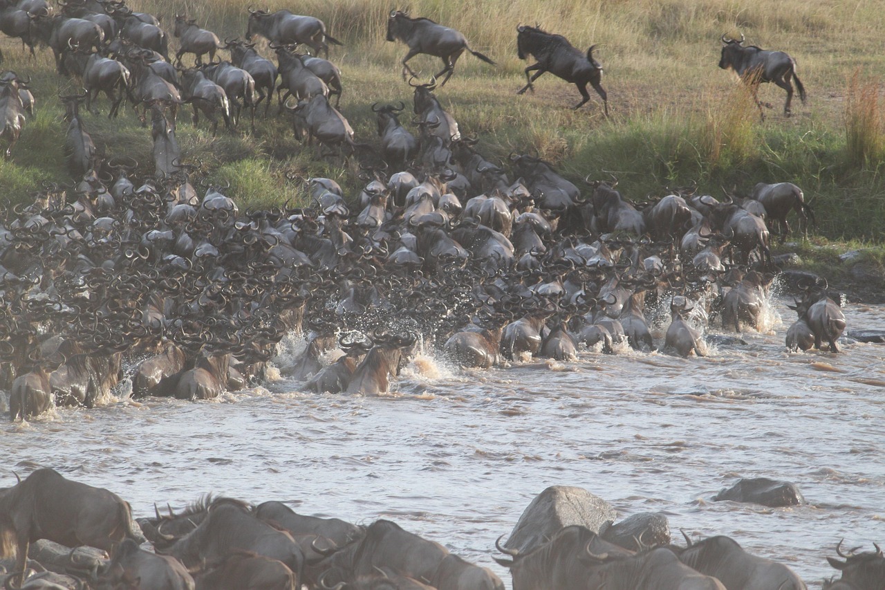 9 Days Tanzania Photography Safari
