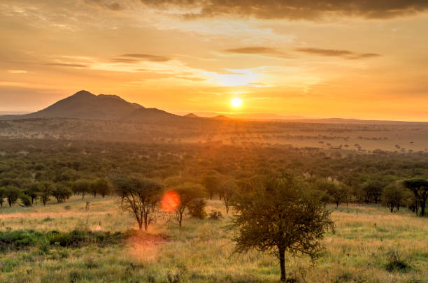 8 Days Tanzania Family Safari