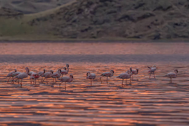 Tarangire and Lake Manyara Safari from Moshi