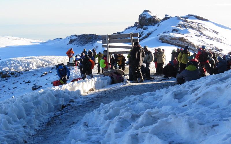 7 Days Rongai Route Kilimanjaro Climb