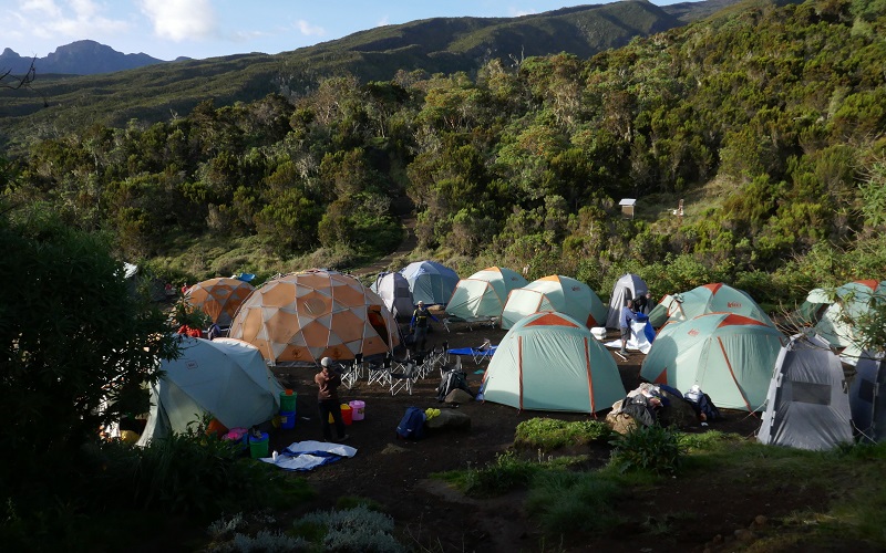 9 Days Lemosho Route Kilimanjaro Climb