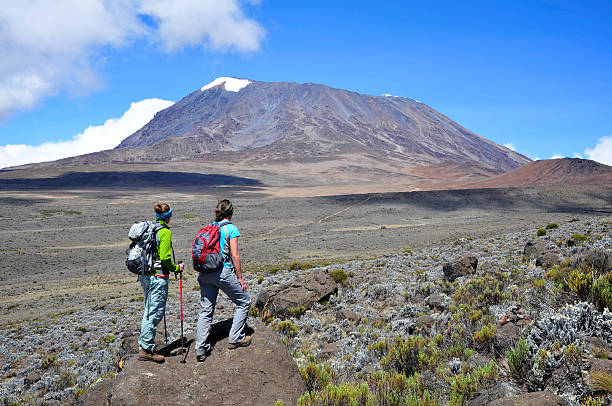 Premium 1 Day Mount Kilimanjaro Hiking Experience