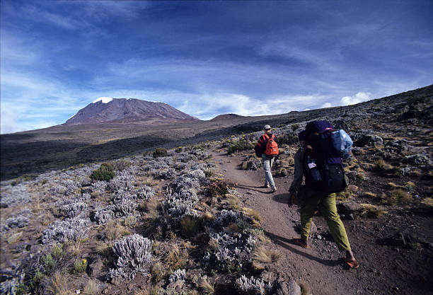 Scenic 3 Day Mount Kilimanjaro Hiking Tour